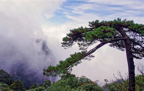 Sanqing Mountain Stock Photo Image Of Travel Mist Chinese 71159270