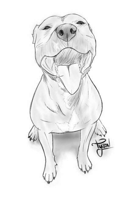 Tyson El Pitbull De Un Amigo Perros Dibujos A Lapiz Dibujos De