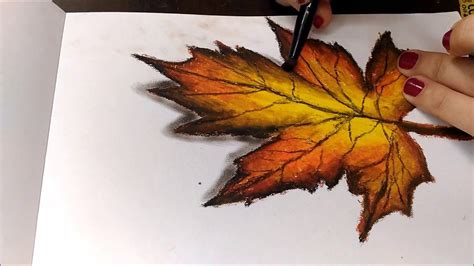 Realistic Leaf Drawing Using Oil Pasteltime Lapse Leaf Drawing