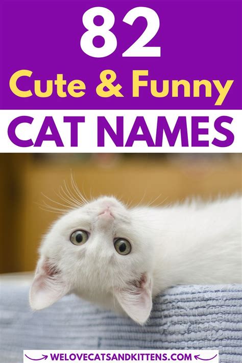 250 Funny Cat Names Funny Cat Names Cat Names Girl Cat Names