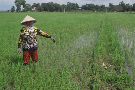 Cập nhật tin tức ngôi sao giải trí, video clip, hình ảnh những người nổi tiếng, tin hot, chuyện hậu trường, đời tư showbiz, scandal sao việt và thế giới tuần qua. Đi làm đồng, bị sét đánh chết - Báo Tây Ninh Online