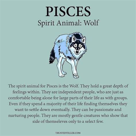 Pin By Jenn Shaeffer On Pisces Infj Pisces Aries Zodiac Facts