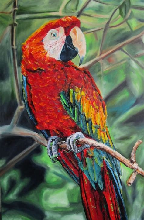 Large Original Oil Painting Scarlet Macaw Parrot Large Etsy