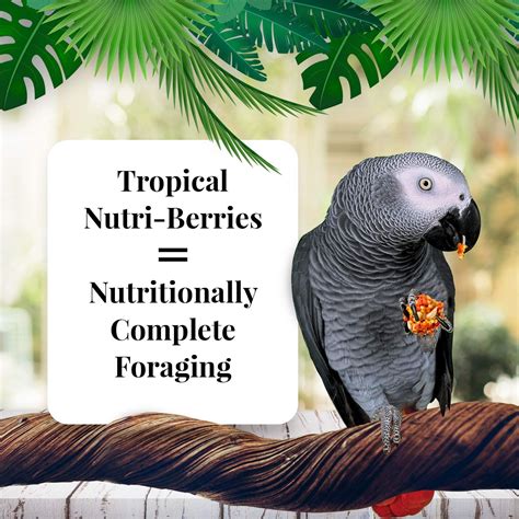 lafebers gourmet tropical fruit nutri berries parrot non gmo 3 lb windy city parrot