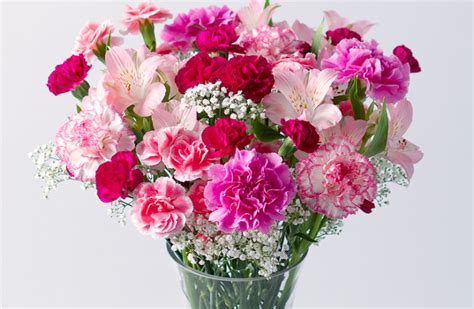 Do place your order as early as possible to secure your which flowers are perfect for mother's day? Here are some great Mother's Day flowers offers | Metro News
