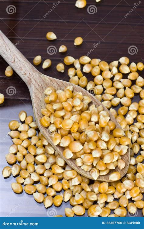Maize Zea Mays Stock Photo Image Of Grinding Mill 22357760