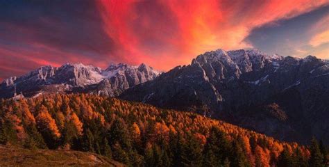 Nature Landscape Alps Mountains Snowy Peak Sunset Fall Forest