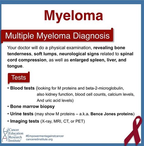 Multiple Myeloma Spinal Cord Blood Test Blood Cells Liver