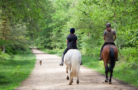 Horse Back Riders Free Stock Photo Public Domain Pictures