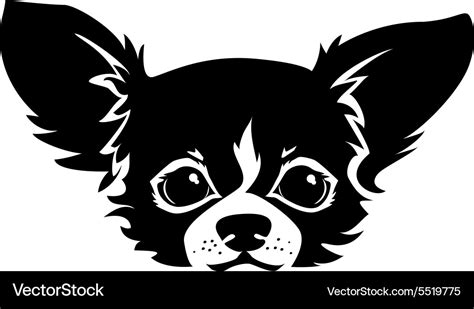 Chihuahua Dog Royalty Free Vector Image Vectorstock