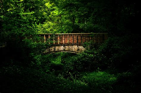 Forest Bridge Wallpapers Hd Desktop And Mobile Backgrounds
