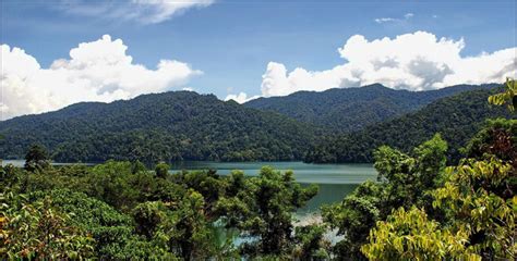 Malaysia has three main types of timber sources: Belum Forest Reserve - GoWhere Malaysia