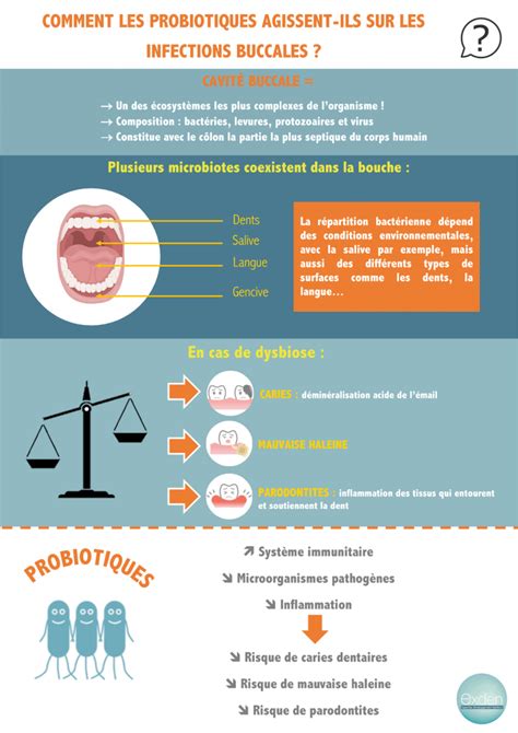 Infographie SphÈre Orale Comment Les Probiotiques Agissent Ils Sur