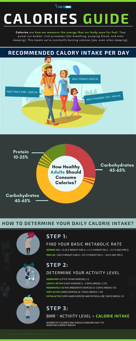 How Many Calories Per Day Should You Eat How To Cure