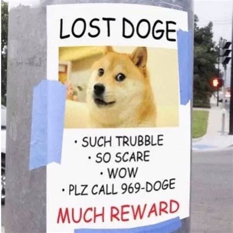 Plz Call Doge Funny Pictures Doge Original