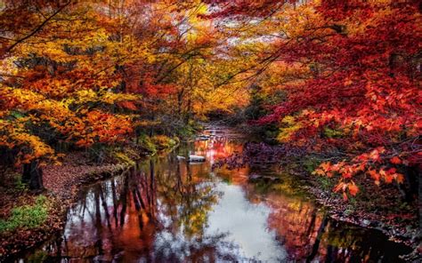 Nature Landscape River Leaves Colorful Trees Fall Water Reflection