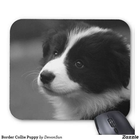 Border Collie Puppy Mouse Mat Uk Border Collie Puppies