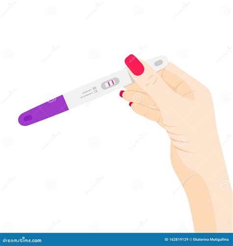 Pregnancy Or Ovulation Positive Test In Woman Hand Vector Illustration