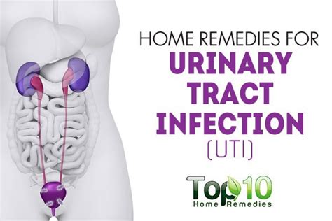 Home Remedies for Urinary Tract Infection (UTI) | Top 10 ...