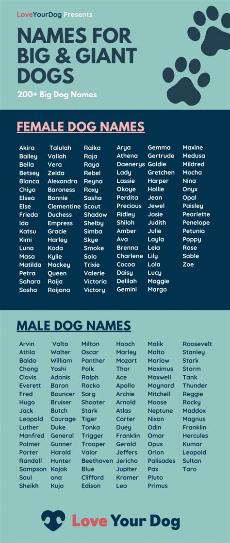 Dog Names Biggest List Of Dog Names German Shepherd Country Photos
