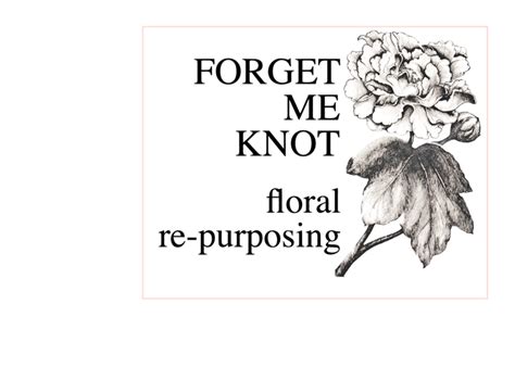 The forget me not flower: How Wedding Flower Repurposing Works with Forget Me Knot