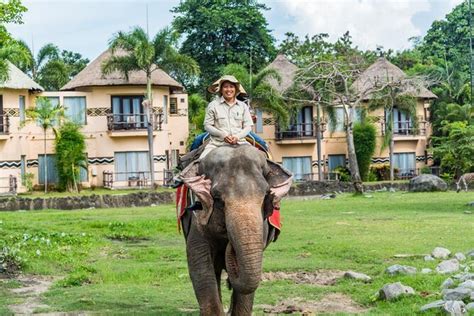 Bali Safari & Marine Park Tours & Tickets - Book Now - Viator