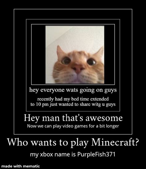 Who Wants To Play Minecraft Xbox Rokbuddyretard Staring Cat