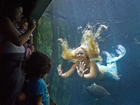Mermaids And Mermen Of Brazil Refuse To Be Tamed Parallels Npr