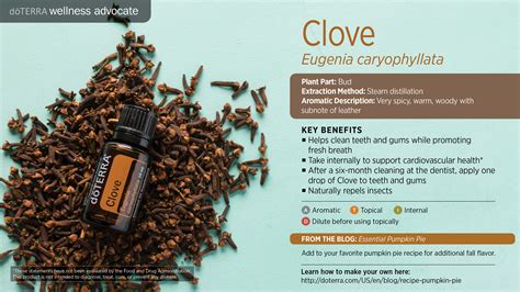 As a pain reliever for conditions such as toothache and muscle pain. Clove Oil | doTERRA Essential Oils