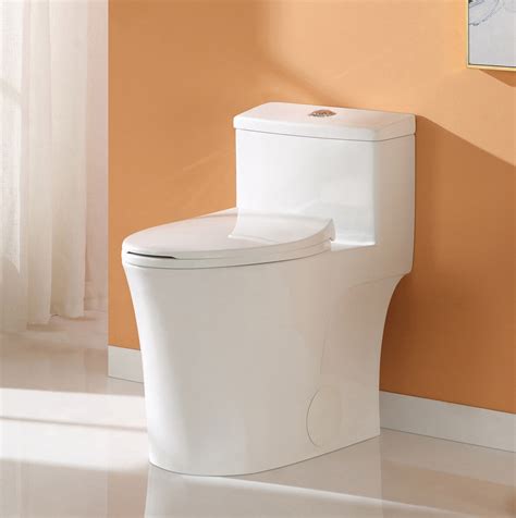 Horow Dual Flush 128 Gpf Elongatedone Piece Toilet Seat Included
