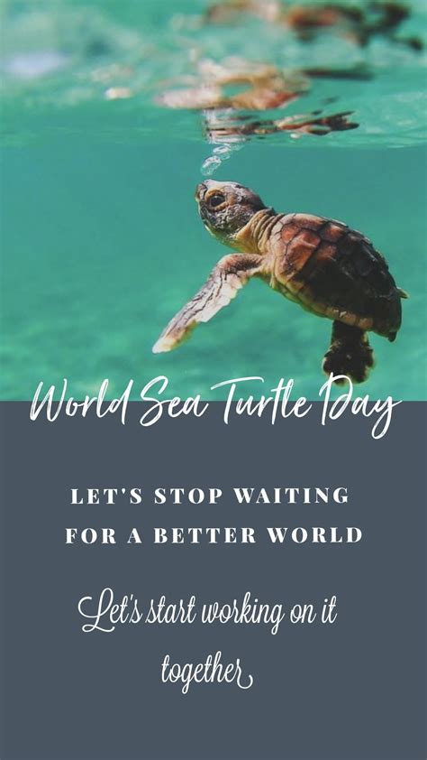 Together Lets Save The Sea Turtles Turtle Day Save The Sea Turtles