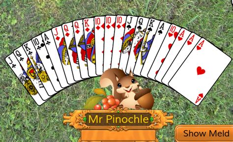In this game, twos and jokers are wild, and threes are special. Double Deck Pinochle Card Game - Strategy and Tips