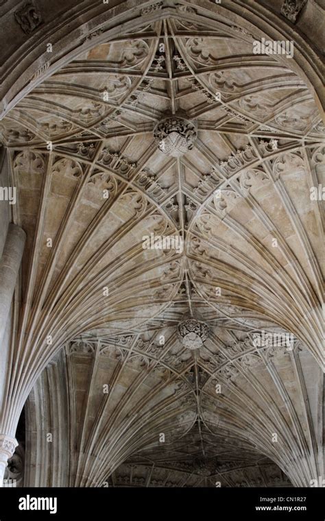 Fan Vaulting In Peterborough Cathedral Stock Photo Alamy
