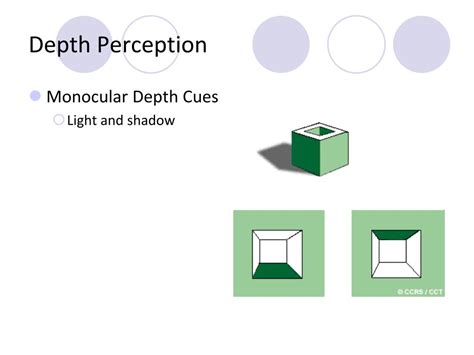 Ppt Perception Powerpoint Presentation Free Download Id3040128