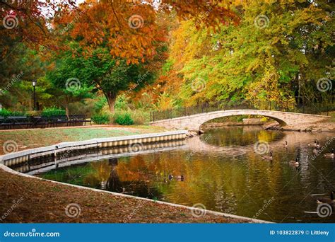 Autumn Pond Bridge Stock Image Image Of Tranquil Nature 103822879