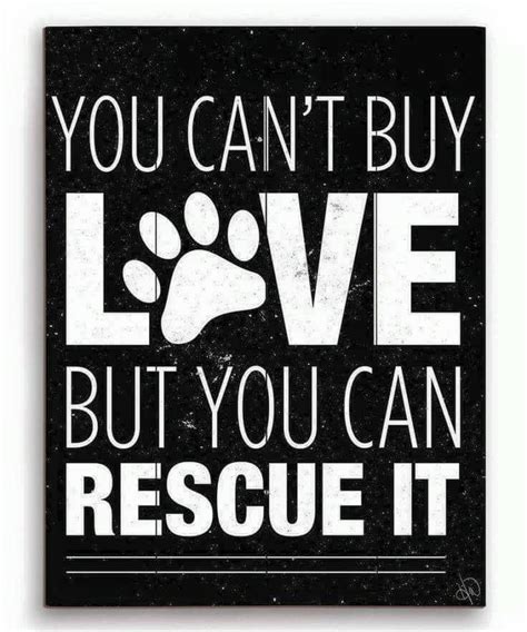 You Cant Buy Love But You Can Rescue It