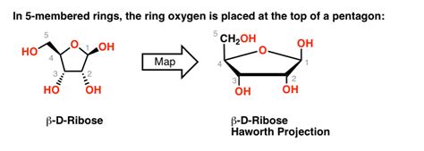 The Haworth Projection Master Organic Chemistry