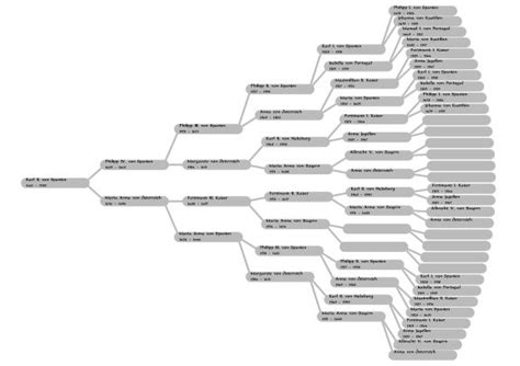 Entscheiden sie, wie sie ihre ein stammbaum stellt die nachkommen dar. Suhrsoft, Individualsoftware und Genealogieprogramme ...