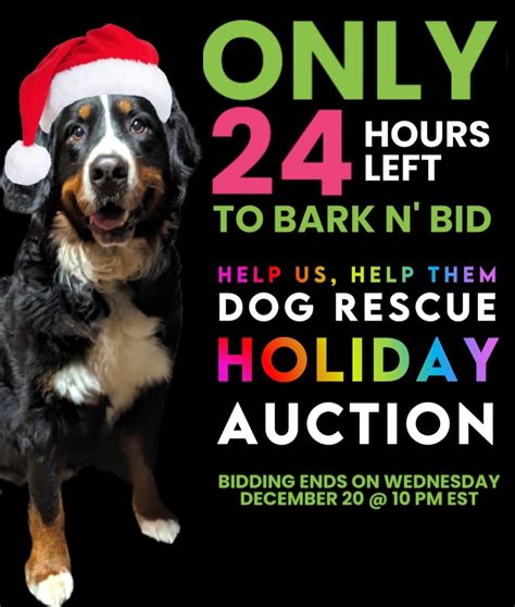 Theres Only 24 Hours Left Help Us Help Them Dog Rescue