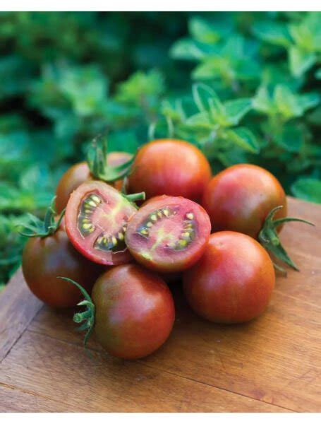 Fresh 50 Seeds Sunchocola Tomato Hybrid Vegetable Planting Tomatoe Garden