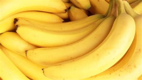 Are Bananas Going Extinct