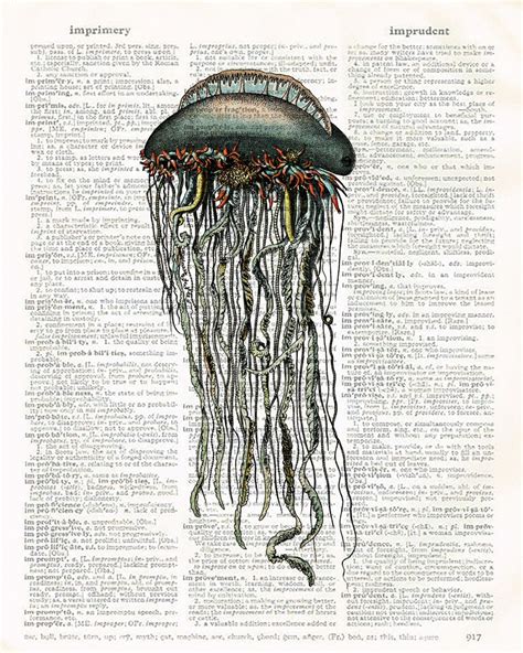 Vintage Jelly Fish Illustration Art Print On Book Page Paper Etsy
