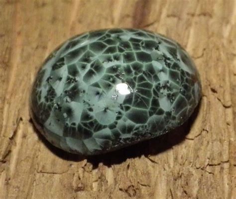 98ct Isle Royale Greenstone Cabochon Pumpellyite Chlorastrolite