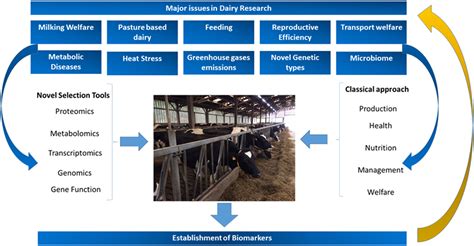Biomarkers Of Fitness And Welfare In Dairy Cattle Healthy Productivity