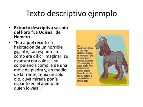 Texto Descriptivo