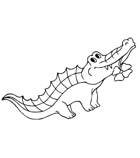 Top 25 Free Printable Alligator Coloring Pages Online