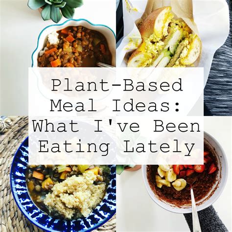 Plant Based Meal Ideas What Ive Been Eating Lately The Friendly Fig