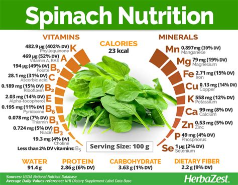 Spinach Herbazest