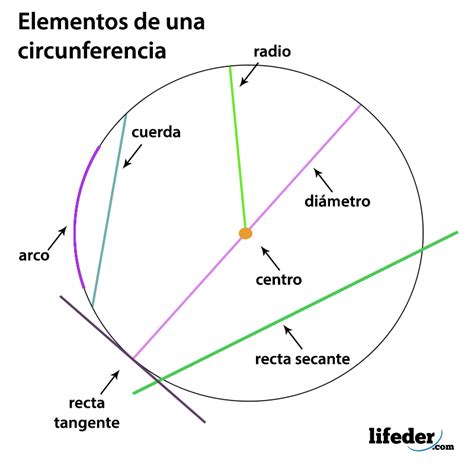 ¿cuáles Son Los 7 Elementos De La Circunferencia