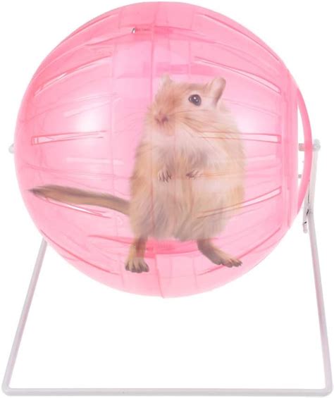 Popetpop Hamster Exercise Ball4 In 1 Multifunctional Hamster Running